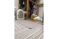 写真48320_2